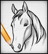 In this drawing lesson we'll show you how to draw a horse in 8 easy steps. How To Draw Cartoon Horses Realistic Horses Drawing Tutorials Drawing How To Draw Horses Drawing Lessons Step By Step Techniques For Cartoons Illustrations