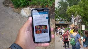 Open the disney+ app on your iphone; The Crowds Are Returning Back To Disney World Finding New Halloween Treats At Animal Kingdom Youtube