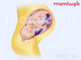 39 Schwangerschaftswoche 39 Ssw Mamiweb De