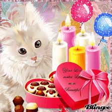 Https Encrypted Tbn0 Gstatic Com Images Q Tbn 3aand9gcrdzz5scgnzvyjqu9eda6htrwueqyguvl2hga Usqp Cau