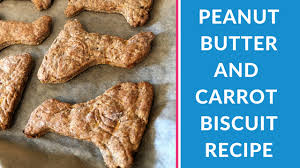 Try making these healthy homemade treats with carrots, apples, oats, and peanut butter for your dogs. Homemade Dog Treats Peanut Butter And Carrot Biscuit Recipe Millie S Pet Services