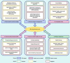 Image result for COPD Exacerbation Prevention