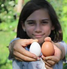 Happy Book Launch Day to my first book- "Small-Scale Homesteading"! We  ended up with a well rounded resource