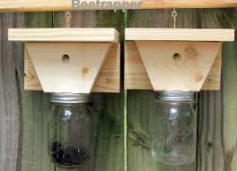 Check spelling or type a new query. 2 Carpenter Bee Traps Bee And Pest Control Handcrafted In Usa Bee Traps Carpenter Bee Trap Carpenter Bee