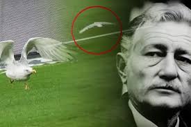 Eski Finlandiya Başbakanı Sanna Marin'in Tırcı Eşi Albert Marin Tarafından  Tırla İşe Bırakıldığı UYDURMAsı