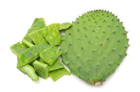 The health benefits of the nopal cactus for instance has now been fused into juice shape that is the rich wellspring of cancer prevention agents is the way to the health benefits of the nopal health benefits of drinking water. All About Nopal And Its Health Benefits To The Body Nelenel Com