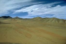 Check spelling or type a new query. Gurun Atacama 14 Cara Golden