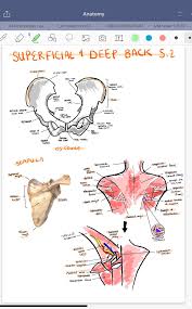 Get the most from your ipad pro with 10 of the best ipad pro apps available. First Week Of Medical School Done Ipad Pro Best Decision Of My Life Ipad