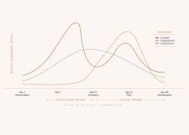 how to guide understanding your period intimate talk blog