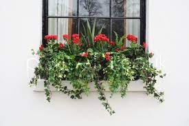 Window box artificial flowers come in large bunches with bright colors. Images Of Artificial Flowers In Window Boxes Outdoor Artificial Plants Goodenough Artificial Plant Arrangements Artificial Plants Outdoor Artificial Flowers