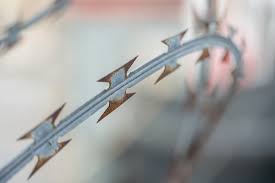 Die listen der besten artikel werden regelmäßig aktualisiert, sodass sie sicher sein können, dass die. Natodraht Stacheldraht Zaun Kostenloses Foto Auf Pixabay