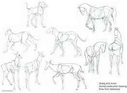 We did not find results for: 25 Beautiful Animal Drawings For Your Inspiration How To Draw Animals Animal Drawings Realistic Animal Drawings Animals