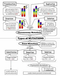 (a) a substitution mutation, occurs where one nucleotide. Gene And Chromosome Mutation Worksheet Pin On Science Study Stuff Teaching Biology Biology Classroom Study Biology