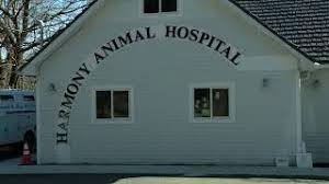 60 reviews of harmony vet care took my senior dog here for shots and the normal annual stuff. Harmony Animal Hospital Veterinarian In Phillipsburg Nj