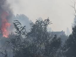 Photo Actualits et infos de Montpellier et sa rgion -  la une - midilibre.fr