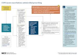 Image result for COPD Exacerbation Decision Tool