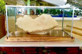 Selon les estimations des experts, le prix de. Un Pecheur Philippin A Garde Cachee Une Perle Geante Pendant 10 Ans La Nouvelle Union Et L Avenir De L Erable