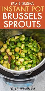 We did not find results for: Instant Pot Brussels Sprouts Tutorial Recipes From A Pantry