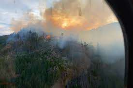 Western underwriting managers will not bind any new business located within a 50 km radius of a forest fire as shown on the bc wildfire service interactive map. Crews Challenged By Mountaintop Wildfire West Of Nanaimo Nanaimo News Bulletin