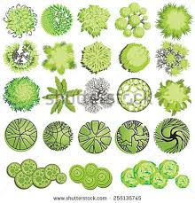 Trees And Bush Item Top View For Landscape Design Vector Icon Trees Top View Free Landscape Design Landscape Design Drawings