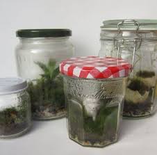 The Basics Of Closed Jar Terrariums Terrarium Jar Succulent Terrarium Closed Terrarium Plants