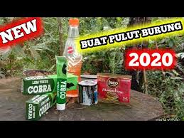 Cara membuat pulut dari lem aibon. Cara Membuat Lem Pulut Burung Terbaru 2020 Hasil Memuaskan Youtube