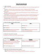Biology 11 answer key unit 2 • mhr tr 3 figure 4.25 (student textbook page 184): Unit 5 Study Guide Answers Biology Unit 5 Exam Study Guide Dna Rna And Protein Synthesis 1 Define The Following Codon A Codon Is Three Nitrogenous Course Hero