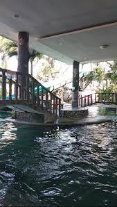 Kolam Renang Cinta Kasih Mewah Eksklusif Dan Bersahabat Koalakusem