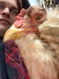 Spotted one of these laying eggs in my garage. Should I have concerns?