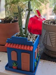 Image result for Huernia procumbens