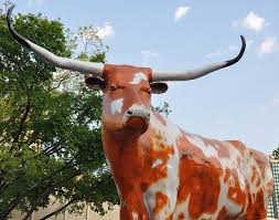 longhorn bull statues