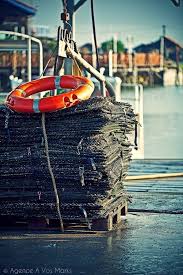 Huitres Grillees Aux Petits Legumes Croquants Arcachon Huitres Bassin
