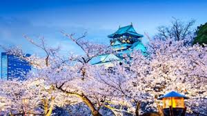 Home > favorite wallpapers galleries > osaka castle wallpaper. Spring Blossom In Osaka Castle Other Nature Background Wallpapers On Desktop Nexus Image 2375646