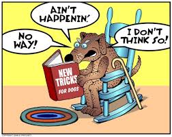 dog training