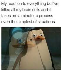 When penguins of madagascar is meme of the month and you. 130 Penguins Of Madagascar Ideas Penguins Of Madagascar Penguins Madagascar