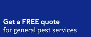 We work around the clock, are always available for emergency 24 hour pest control london, and cover all the surrounding local areas within the m25. Flick Pest Control Pest Control Young