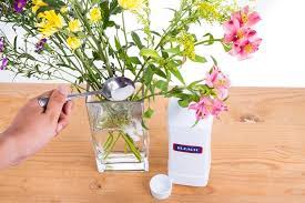 Maybe you would like to learn more about one of these? How To Keep Flowers Alive 12 Tips For Fresh Long Lasting Flowers Better Homes And Gardens