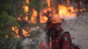 The latest update of the bc wildfire service mobile app allows users to enable push notifications for posts on the @bcgovfireinfo twitter feed and other current wildfire information. B C Wildfires Provincial State Of Emergency Lifted After More Than 2 Months Ctv News