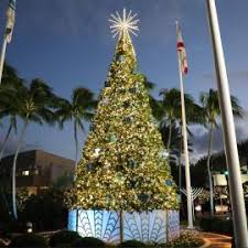 Now you can shop for it and enjoy a good. Commercial Christmas Trees From 12 To 100 In Height