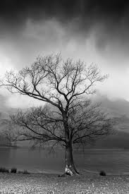 Multiple sizes available for all screen sizes. 500 Sad Images Hd Download Free Pictures On Unsplash