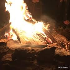 I want to find that information, because hot stones taken from a fire, can be used to heat a shelter easily. How To Avoid Exploding Rocks In A Beach Fire Wild Stoves