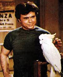 Bird On A Wire Movie Theme Song Pin On Robert Blake