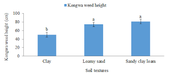 Image result for Astripomoea hyoscyamoides
