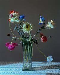 Elfie semotan (* 1941), österreichische fotografin; I Knew Right Away That I Didn T Love Being In Front Of The Camera