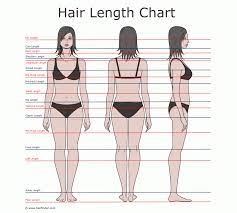 Hair Length Chart I M Shoulder Length Planning To Grow It Out To Bra Strap Length 48111117267176330 Hair Length Chart Waist Length Hair Armpit Length Hair