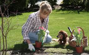 Pet business insurance — pet business insurance specializes in providing insurance coverage for all types of pet businesses. Pet Owners Information Local Dog Cat Sitting Services