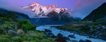 You will encounter possums, tui, magpie and kiwi birds, parrots, diving petrels, sea shells. Luxury New Zealand Tours Travel New Zealand Trips