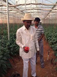 images?q=tbn:ANd9GcRqX987p4wMpu9AyePxVB5LD20O4CJn5a_O7u1OmNLLN9bhbEo01g&s