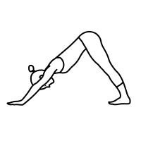 Your feet need to be at the same high as your hips. Adho Mukha Svanasana Icons Download Free Vector Icons Noun Project