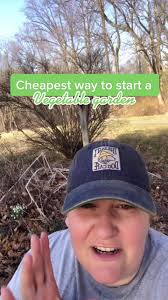 Starting a Vegetable Garden